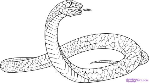 gyvatė